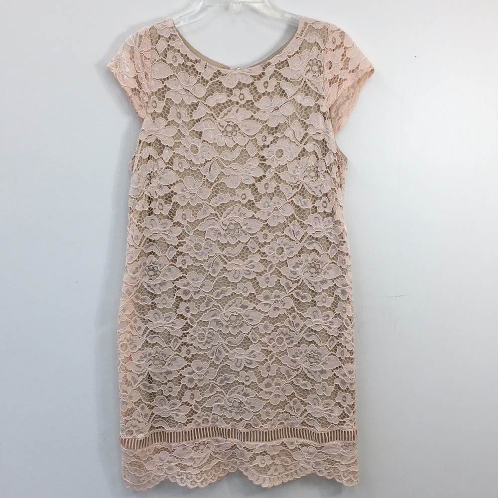 Perceptions New York Lace Overlay Nude/Blush Pink Size LP EXCELLENT Condition